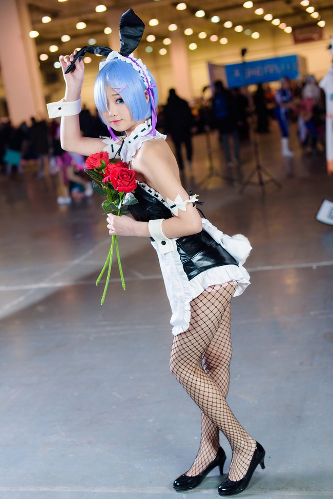 半岛web版登录入口