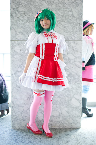 半岛web版登录入口